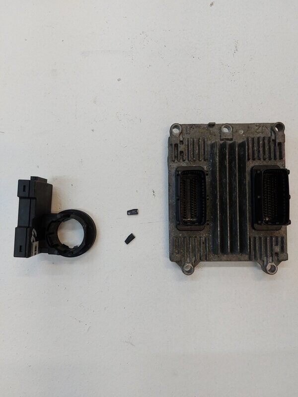 VX220 replacement z22se ecu