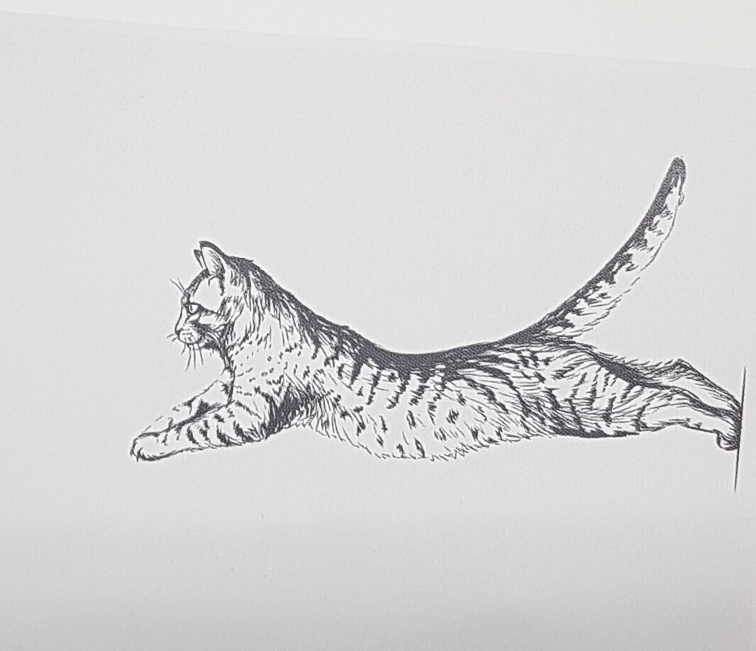Geschirrtuch weiss, Katze, schwarz