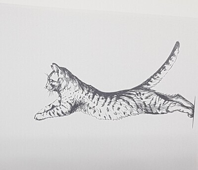 Geschirrtuch weiss, Katze, schwarz