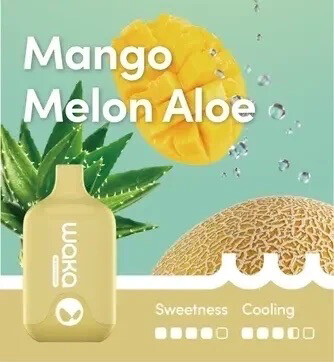 Waka Smash 6000 - Mango Melon Aloe