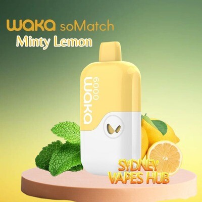 Waka Somatch Minty Lemon 6000
