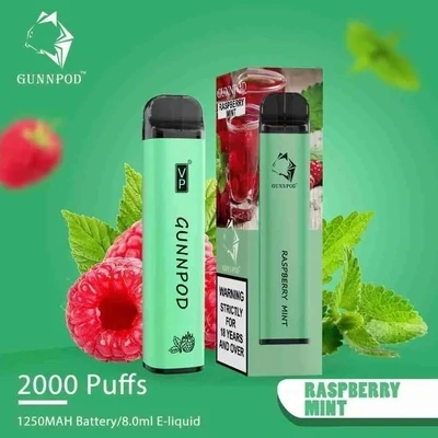 Gunnpod Raspberry Mint 2000 Puffs