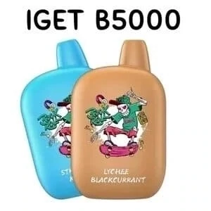 Iget B5000 Wholesale Vape 10 Pack