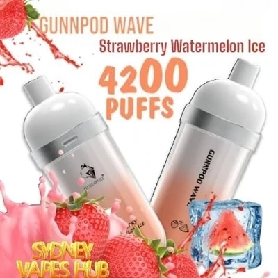 Gunnpod Wave 4200 Strawberry Watermelon ice