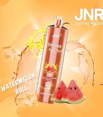 Jnr Shisha Watermelon Bull 12000