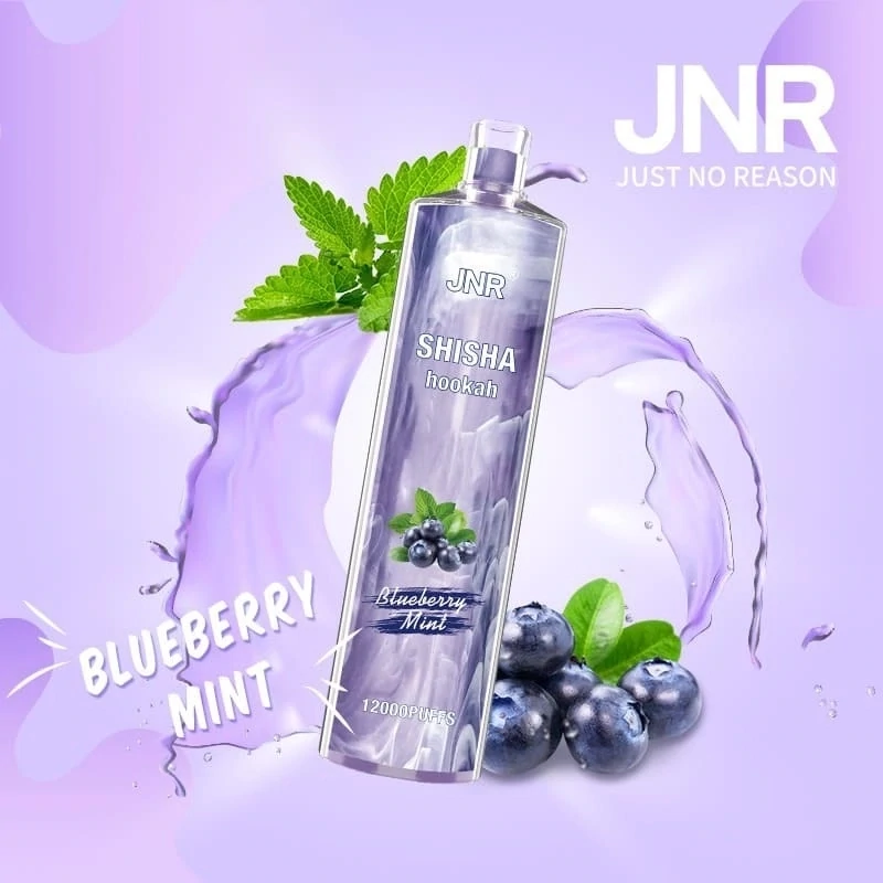 JNR ShiSha Blueberry Mint 12000 Puffs