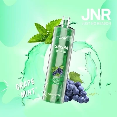 JNR ShiSha Grape Mint 12000 Puffs
