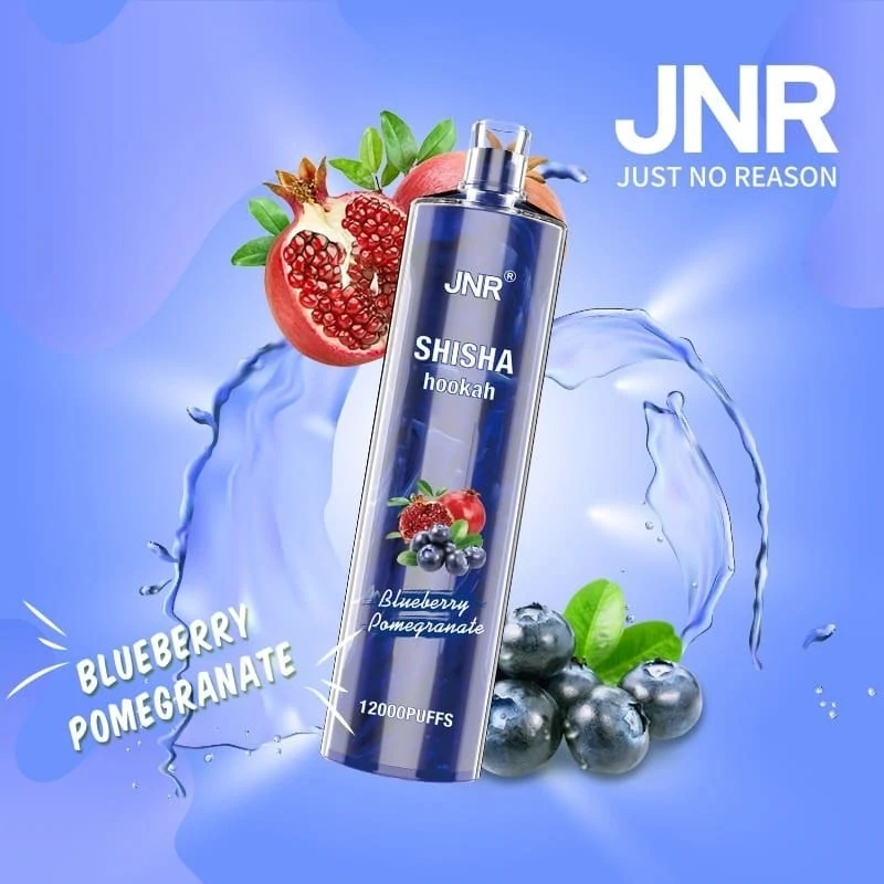 JNR ShiSha Blueberry pomegranate 12000 Puffs