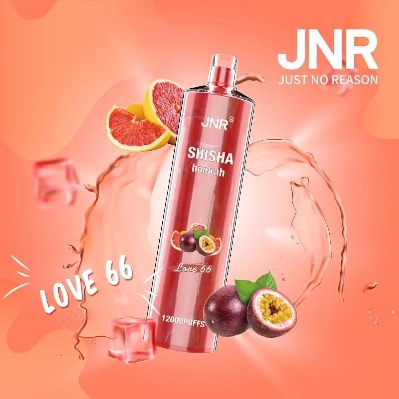 JNR ShiSha Love 66 12000 Puffs