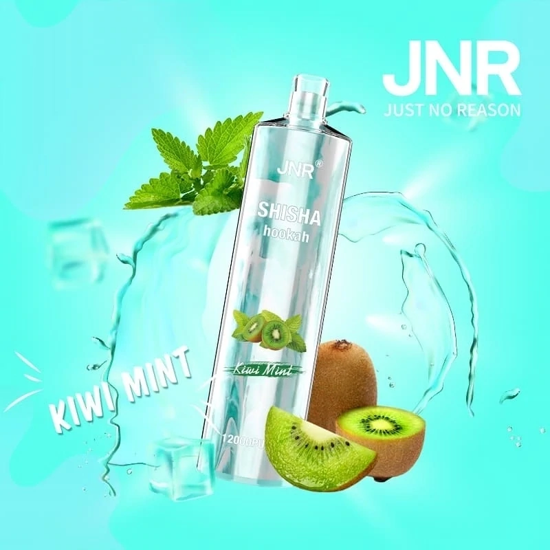 JNR ShiSha Kiwi Mint 12000 Puffs