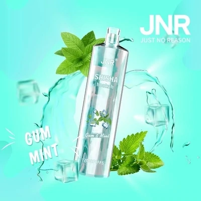JNR ShiSha Gum &amp; Mint 12000 Puffs