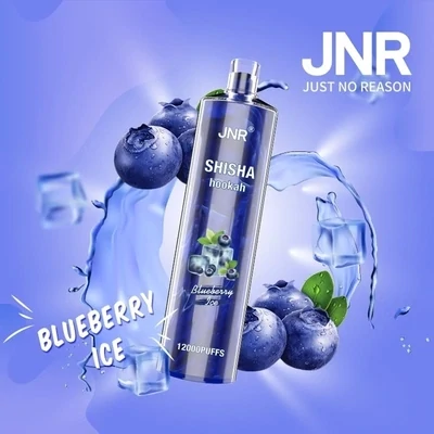 JNR ShiSha Blueberry ice 12000 Puffs