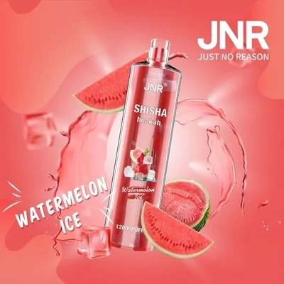 JNR ShiSha Watermelon ice 12000 Puffs