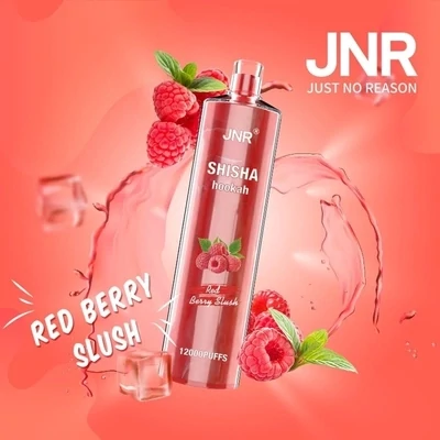 JNR ShiSha Red Berry Slush 12000 Puffs