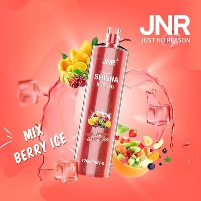 JNR ShiSha Mix Berry ice 12000 Puffs