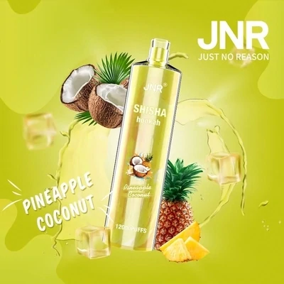 JNR ShiSha Pineapple Coconut 12000 Puffs