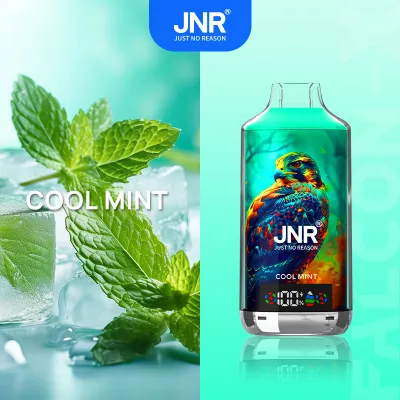Jnr Falcon X Cool Mint