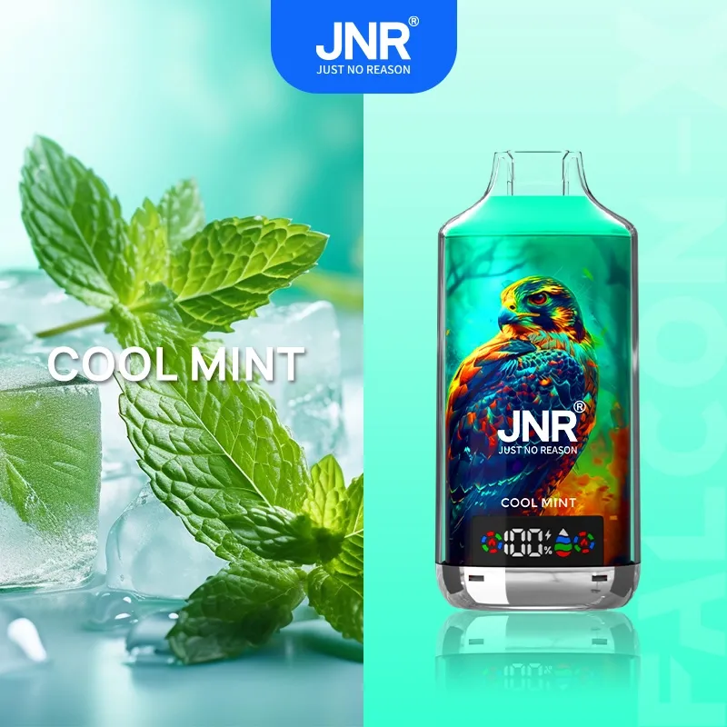 Jnr Falcon X Cool Mint