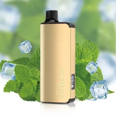 Alibarbar Ingot Cool Mint 9000