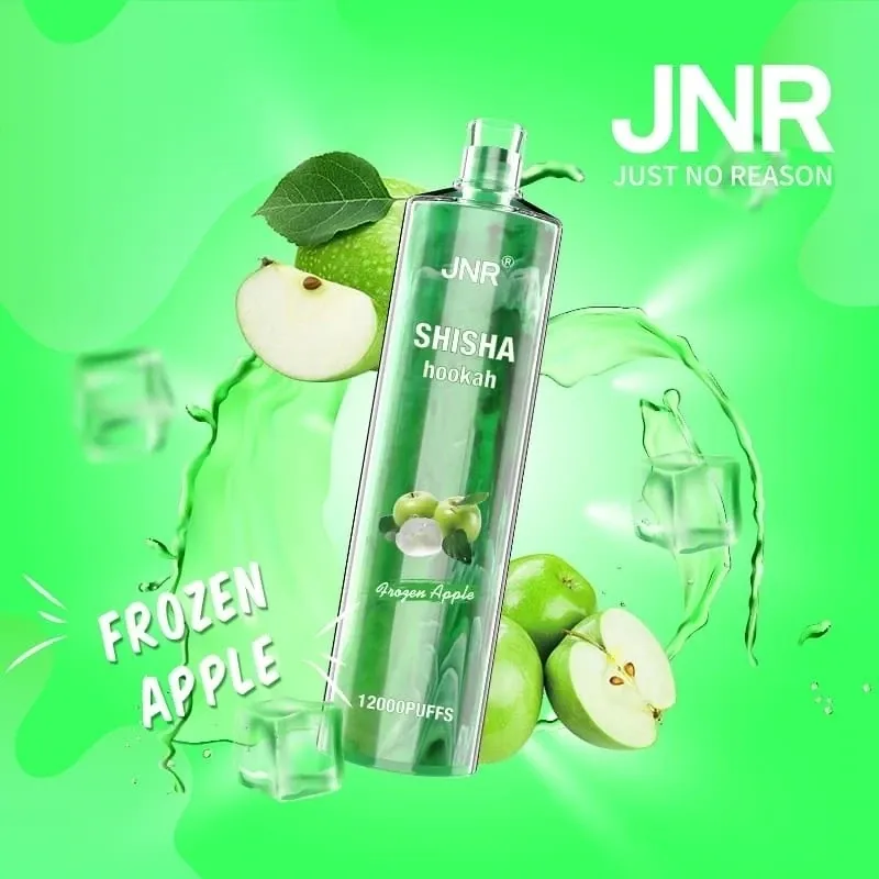 JNR ShiSha Frozen Apple 12000 Puffs