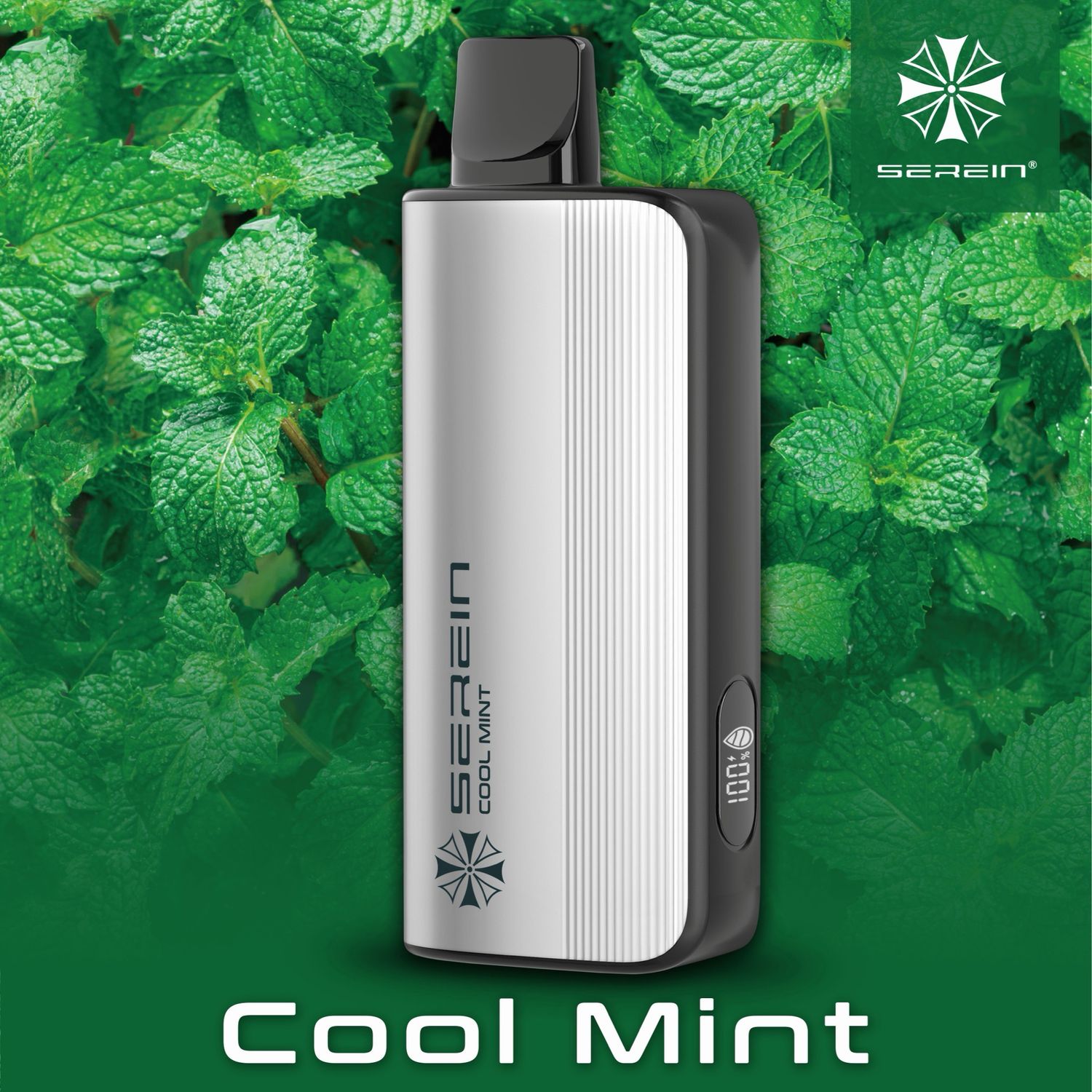 Serein 12000 Cool Mint - Alibarbar Alternative