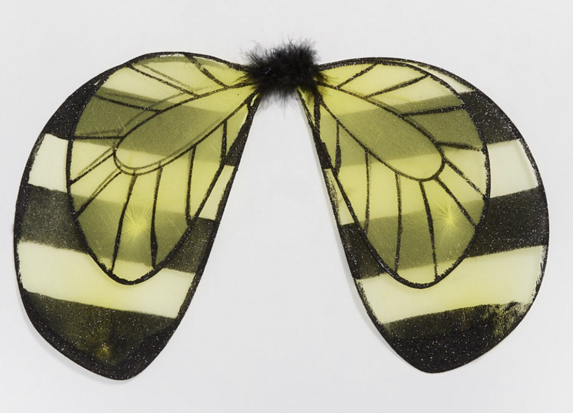 Kids Bee Wings Set