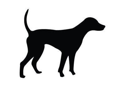 Honden