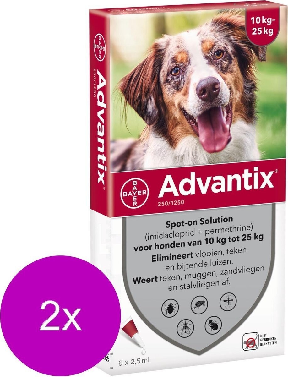 Bayer Advantix Vlooien & Teken Pipetten - Hond 10 tot 25kg - 2 x 6 stuks pipetten XL verpakking