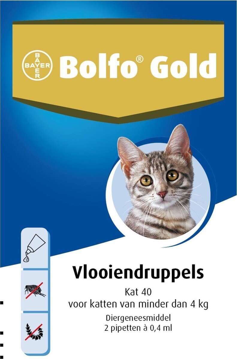 inschakelen Lezen masker Bayer - bolfo gold 40 - Tegen Vlooien voor katten tot 4kg - 2 pipetten