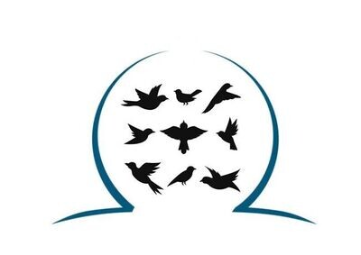 Buitenvogels