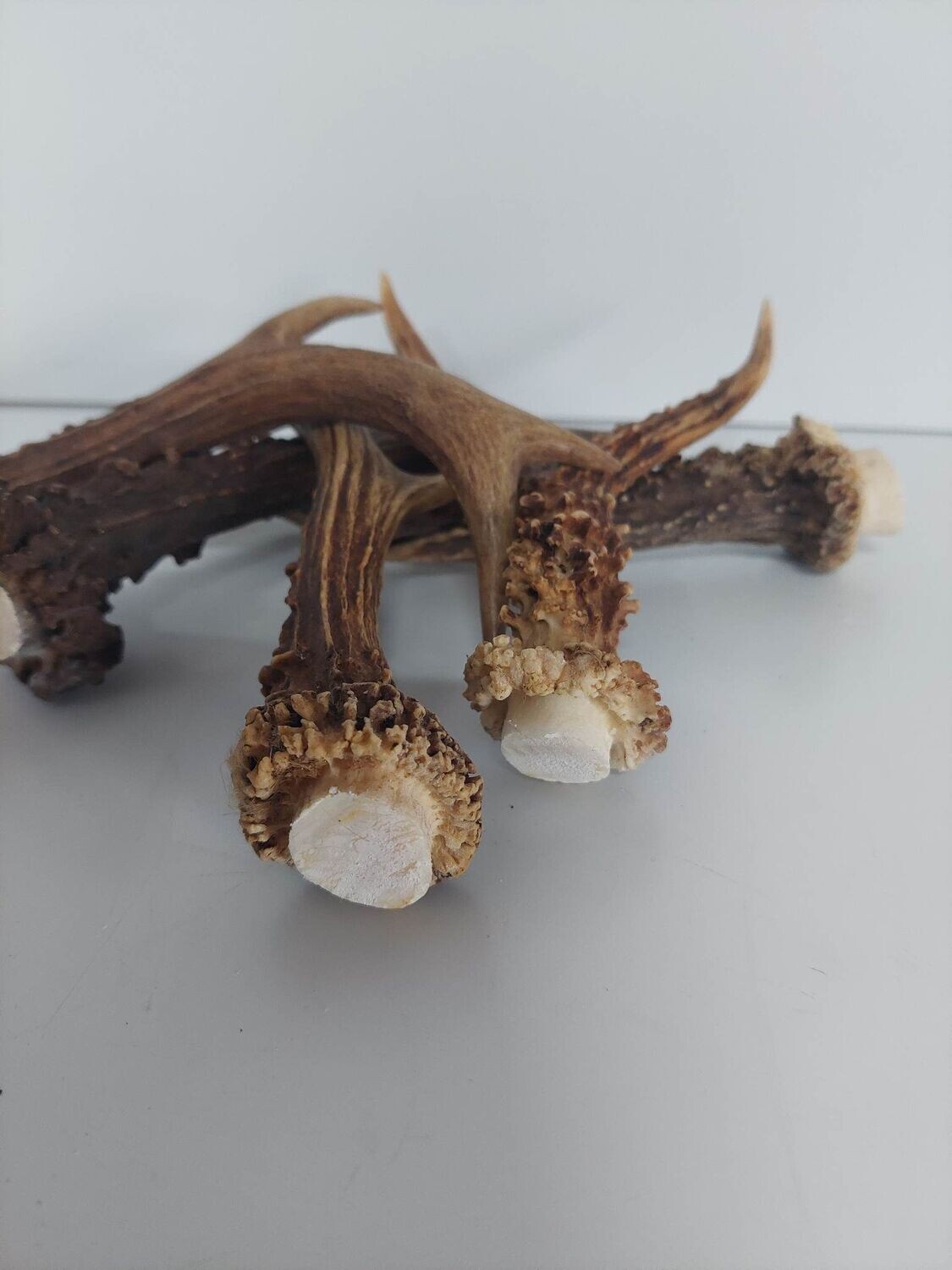 DierOKÉ hertengewei - S kauwsnack voor de hond - 100% natuurlijk - +/-80 gram - gewei - hondensnacks