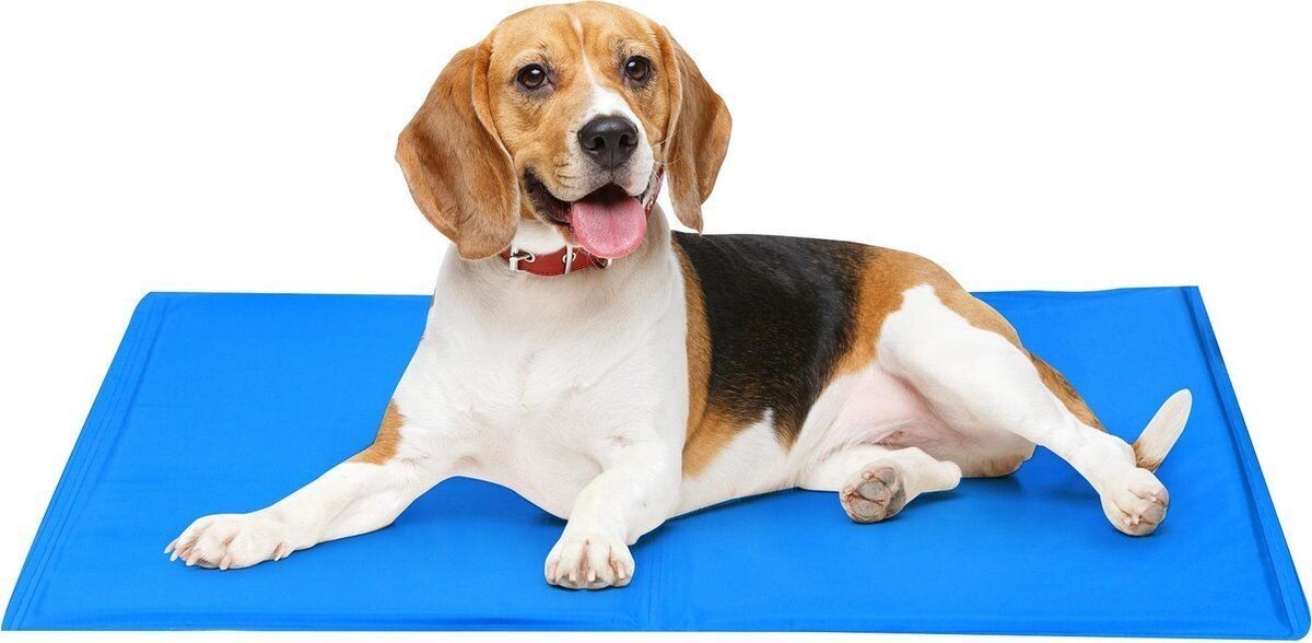 DierOKÉ koelmat maat S - voor hond en kat - koelmat op druk verkoelende gel - 40*50cm - coolmat - hondenkoelmat - kattenkoelmat