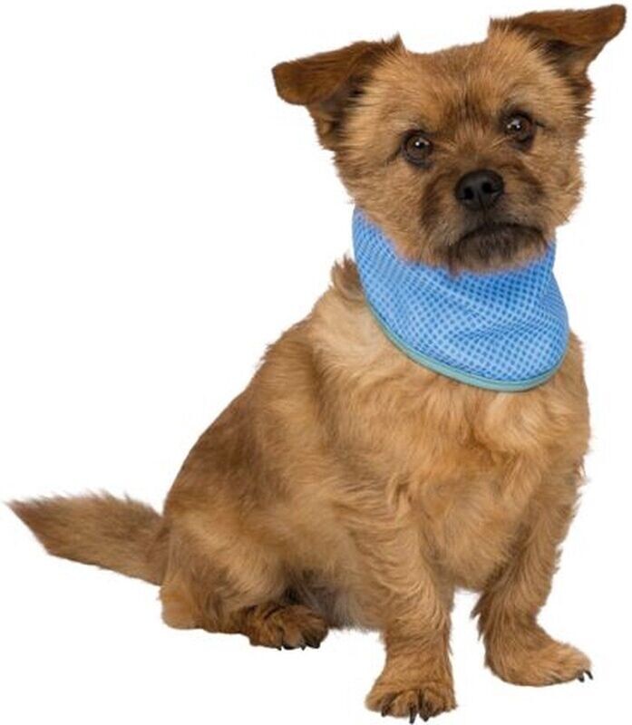 Trixie Koel Bandana Maat - S - coolbandana - koelhalsband kleine hond 20-30cm halsomvang