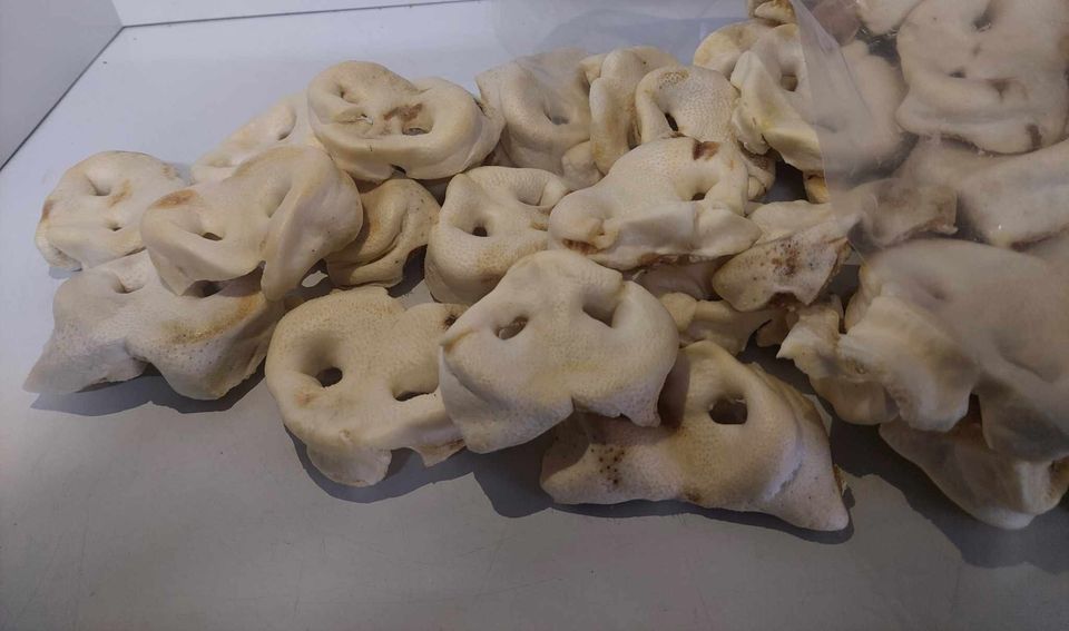 100% natuurlijk gepofte varkensneuzen naturel 25 stuks - varkensneus - natuurlijke hondensnacks