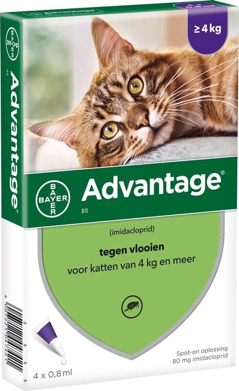 Bayer - Advantage 80 - Tegen Vlooien voor katten vanaf 4kg