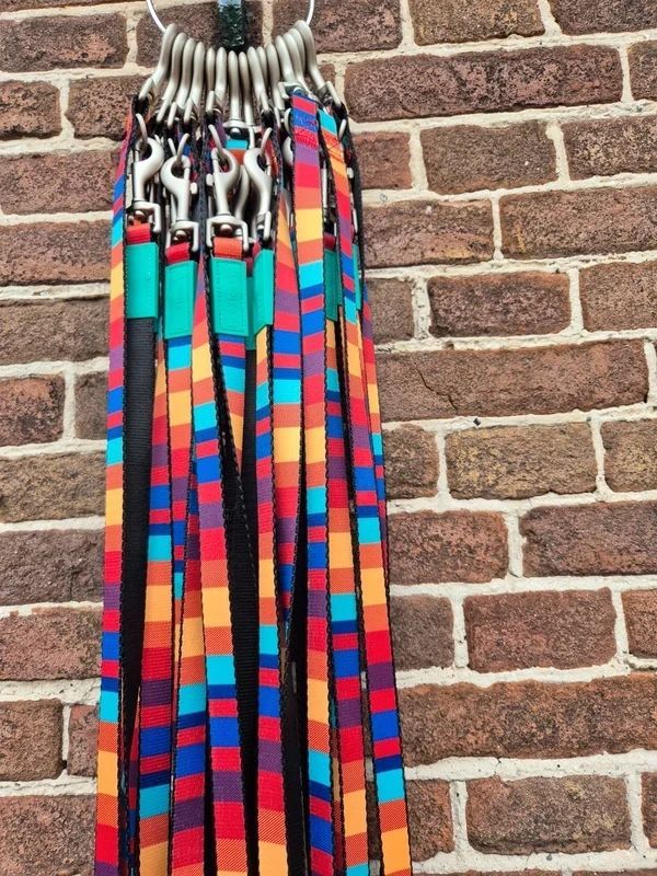 Beeztees trainingsriem driestandenriem hondenriem 200cm * 20mm hondenlijn