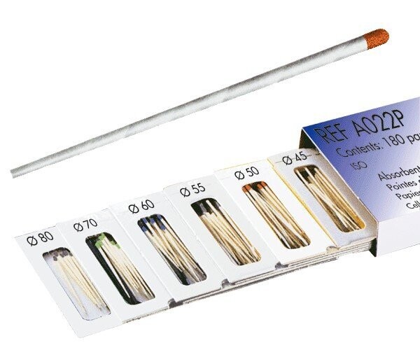PUNTAS PAPEL N.100
DENTSPLY MAILLEFER
