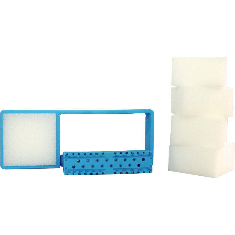 SET REGLA ENDODONCIA
PROCLINIC