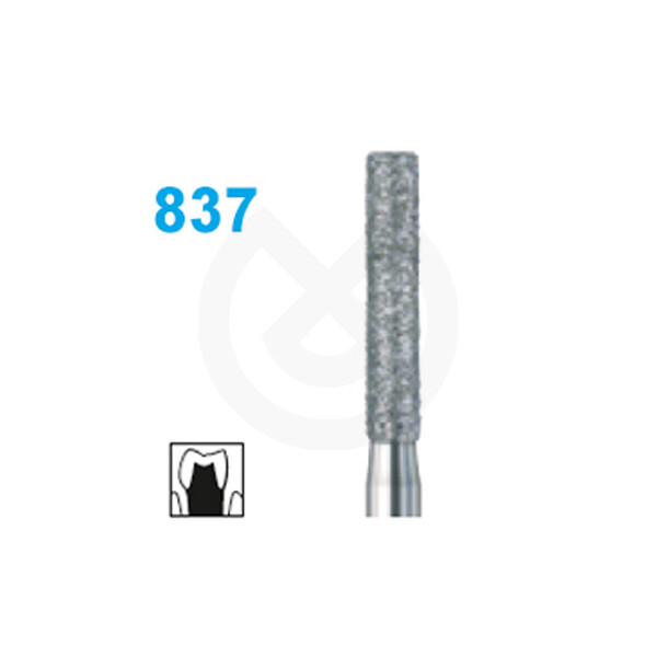 FRESA DIAMANTE TURBINA 6837.012.FG GRANO GRUESO
BUSCH