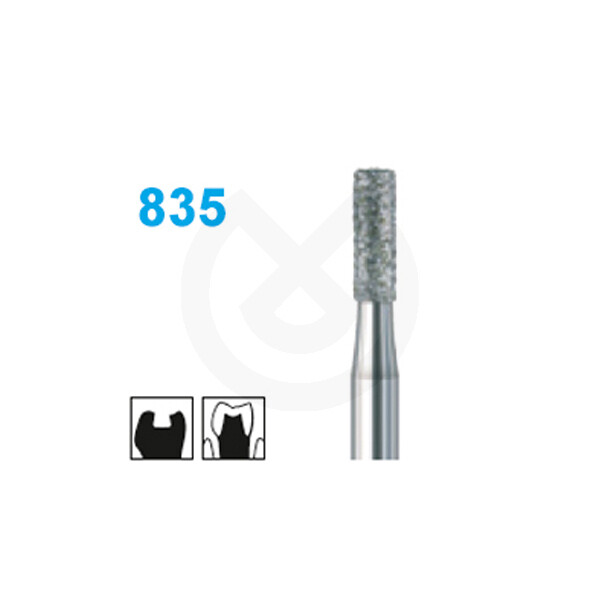 FRESA DIAMANTE TURBINA 835.010.FG GRANO MEDIO
BUSCH