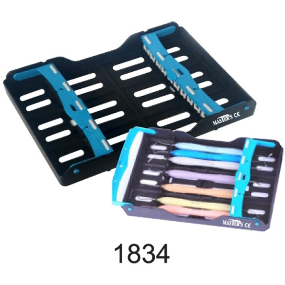 CASSETTE PLASTICO INSTRUMENTOS 10 PIEZAS 207X139X32MM AUTOCLAVABLE 134º MASTER