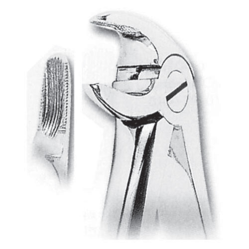 FORCEPS EXTRACCIÓN FORMA INGLESA PREMOLARES INFERIORES FIG. 13 MASTERS