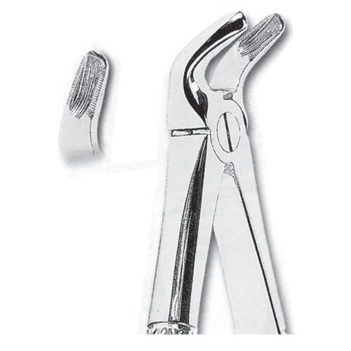 FORCEPS EXTRACCIÓN FORMA INGLESA PREMOLARES INFERIORES FIG. 8 MASTERS