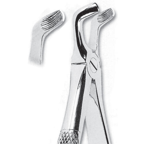 FORCEPS EXTRACCIÓN FORMA INGLESA TERCEROS MOLARES INFERIORES FIG. 79A MASTERS