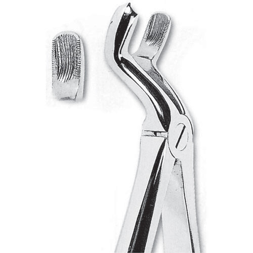 FORCEPS EXTRACCIÓN FORMA INGLESA TERCEROS MOLARES SUPERIORES DERECHOS FIG. 67R MASTERS