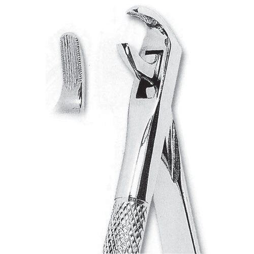 FORCEPS EXTRACCIÓN FORMA INGLESA CANINOS Y PREMOLARES INFERIORES FIG. 75 MASTERS