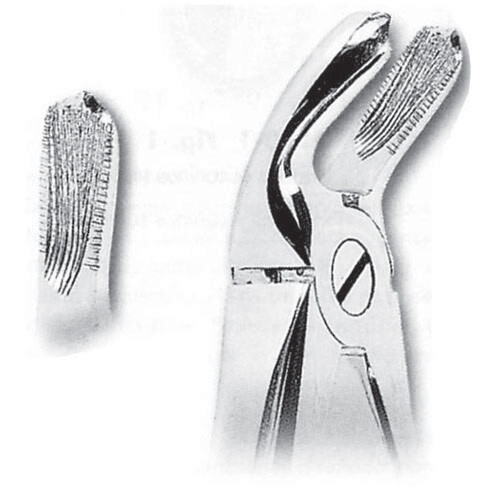 FORCEPS EXTRACCIÓN FORMA INGLESA MOLARES INFERIORES FIG. 21 MASTERS
