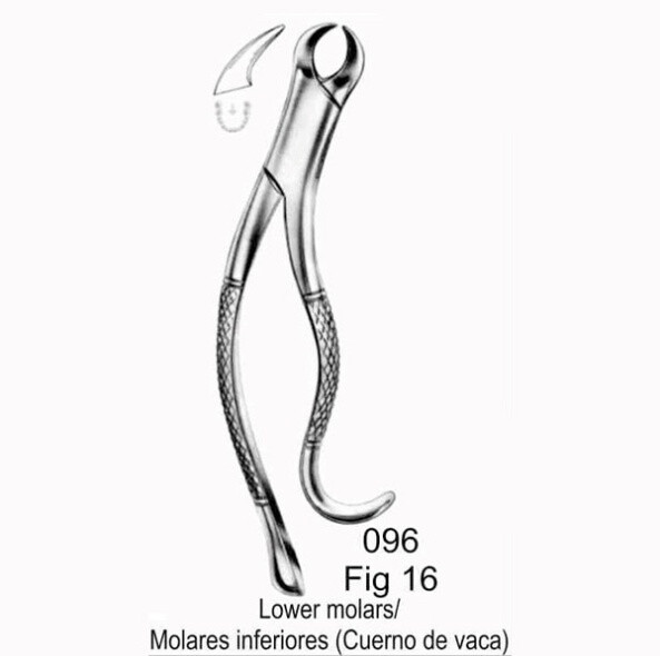 FORCEPS DE EXTRACCIÓN  CUERNO DE VACA MOLARES INFERIORES FORMA AMERICANA  FIG. 16 MASTERS