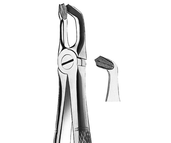 FORCEPS KDM 79 maxilar inf cordales