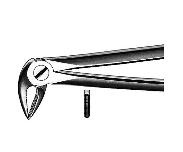 FORCEPS N.33 RAICES INFERIORES
CARL MARTIN